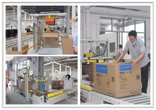 工廠巨變 從百人到十人，浴室柜行業的生產革命與市場陣痛